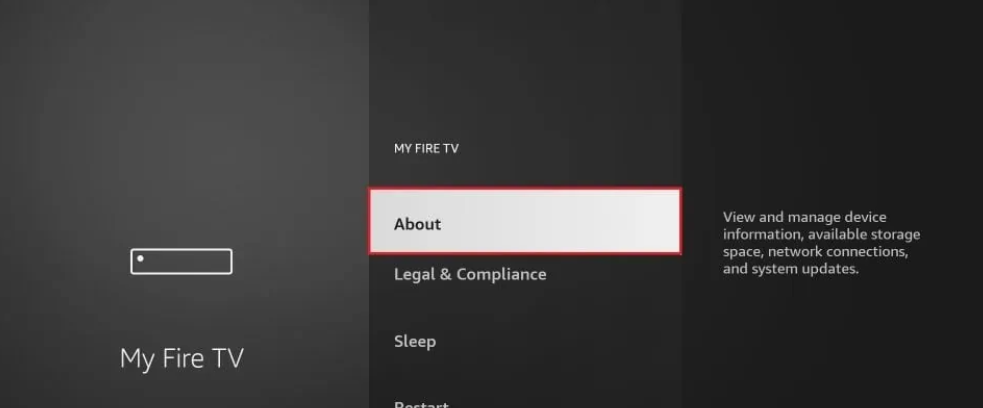 Developer Options on FireStick